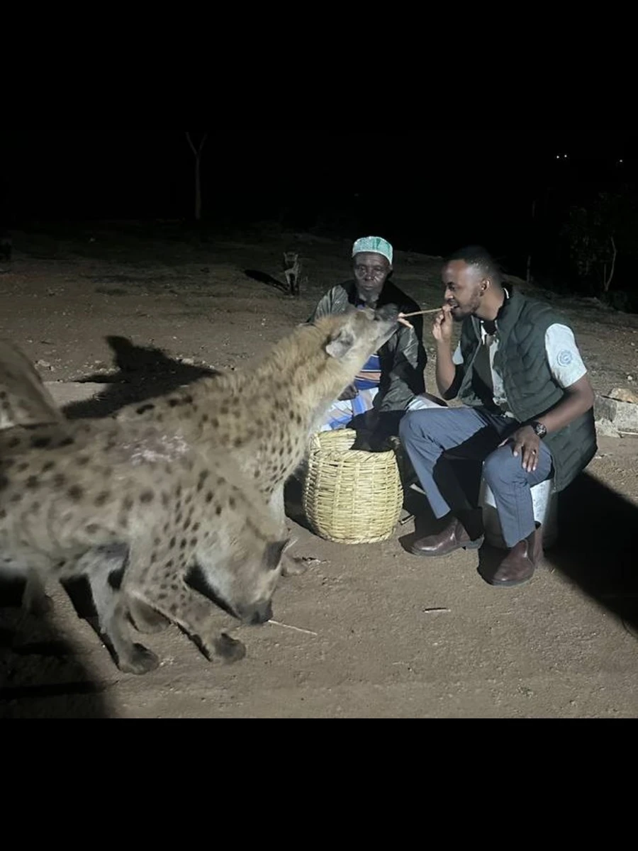 The Unique Hyena Feeding Culture of Harar: An Ancient Tradition